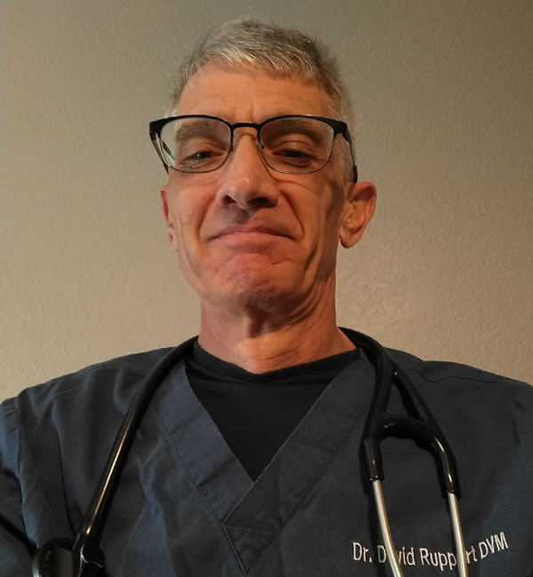 Dr. David Ruppert, Santa Clarita Veterinarian