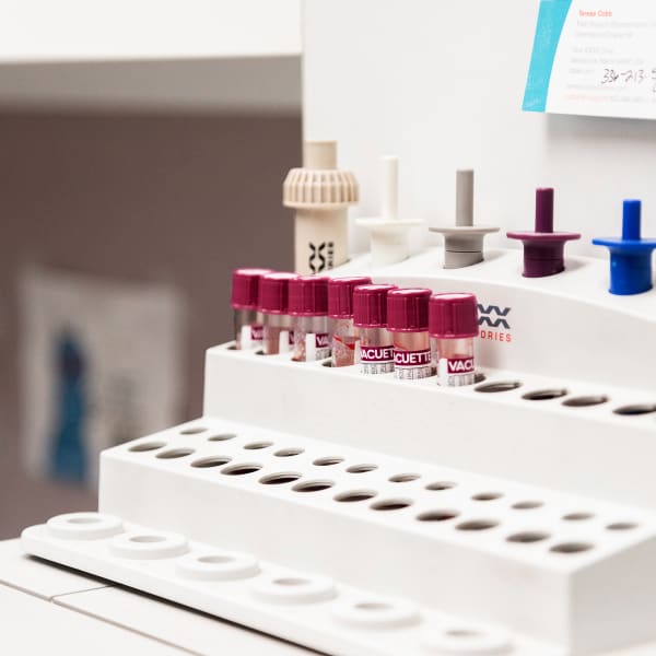 animal bloodwork