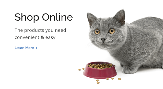 Shop for Pet Products Online